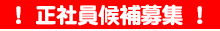 社員候補スタッフ募集
