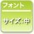 推奨文字サイズ：中