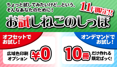 秋のカレンダー＆文庫・新書キャンペーン開催！
