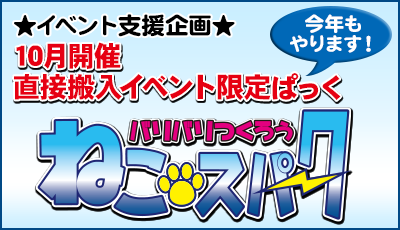 毎年恒例？期間限定ぱっく「ねこスパーク」登場！