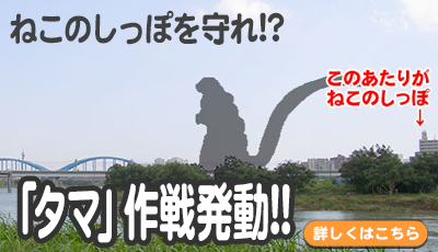 ねこのしっぽを守れ！？「タマ」作戦発動！！