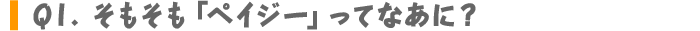 Q1.そもそも「ペイジー」ってなあに？