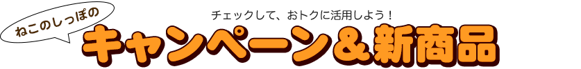 現在実施中のキャンペーン