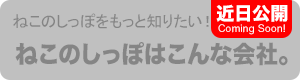 ねこのしっぽはこんな会社。