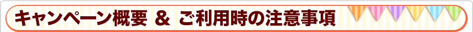 キャンペーン概要および注意事項