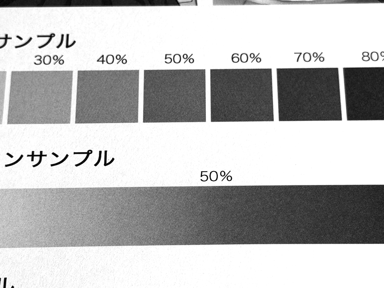用紙画像