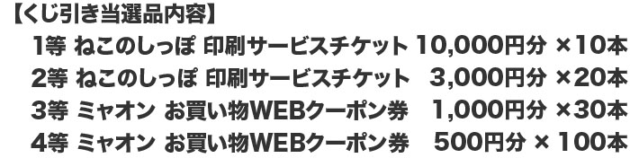出展企画内容
