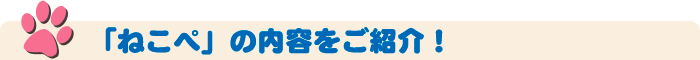 過去の「ねこぺ」をご紹介！