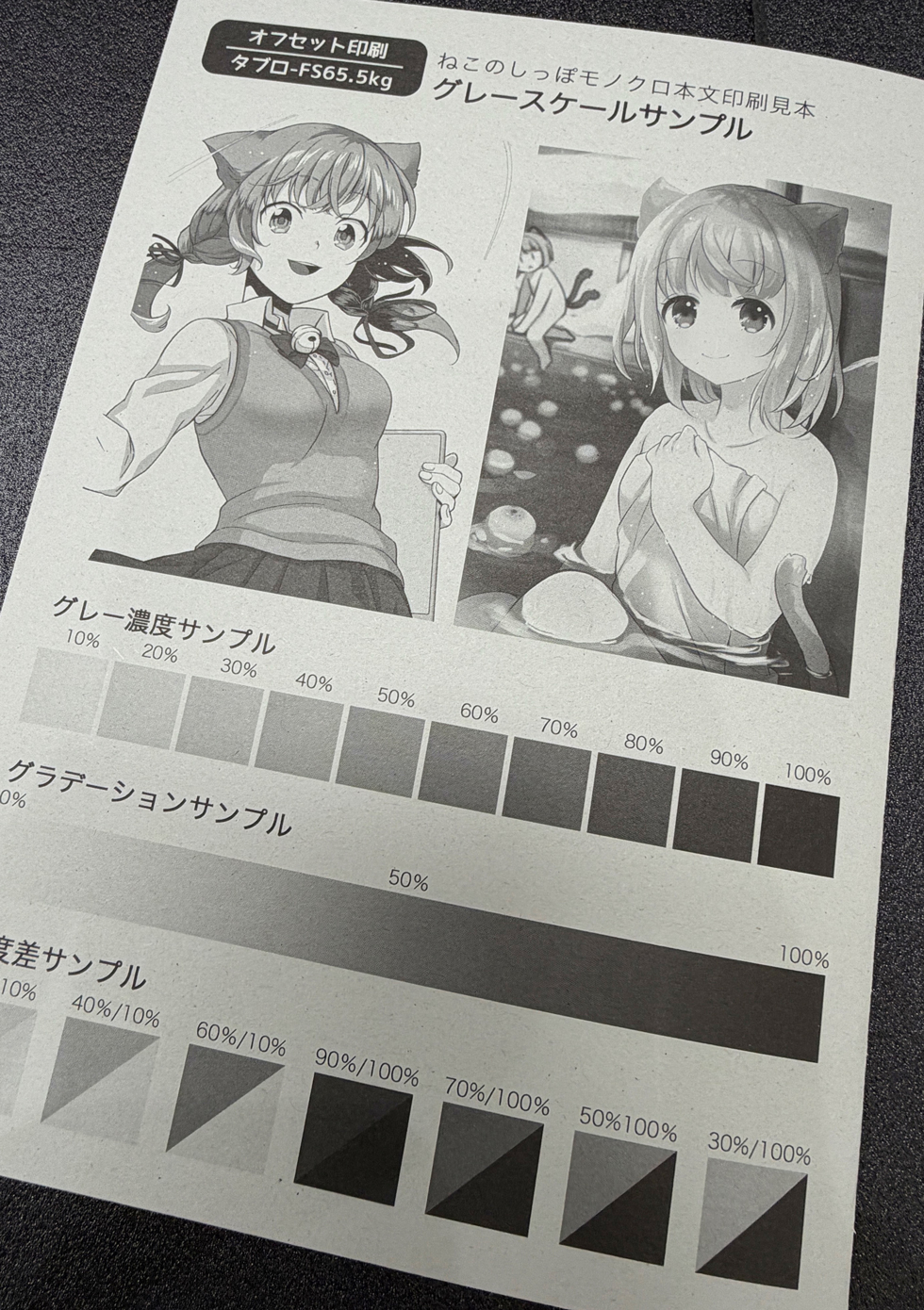 タブロ‐FS 65.6kg 用紙画像