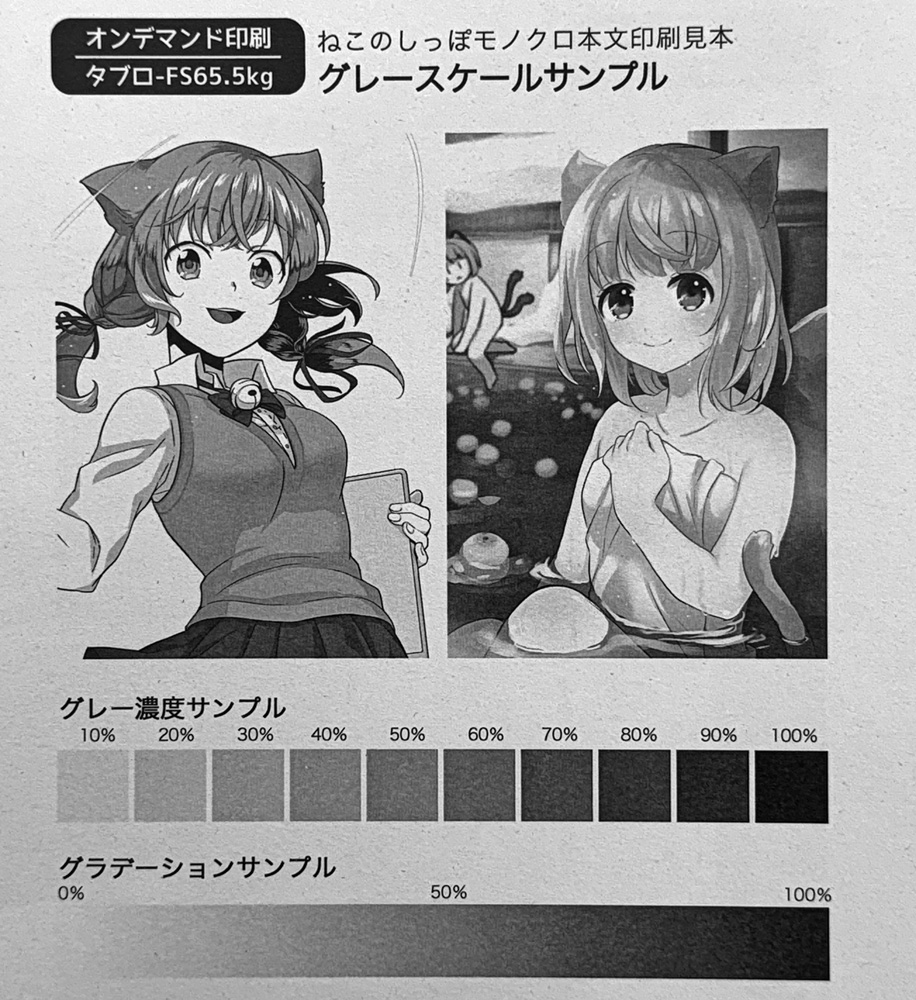 タブロ‐FS 65.6kg 用紙画像