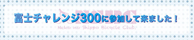 富士チャレンジ300まいにゃーレポ